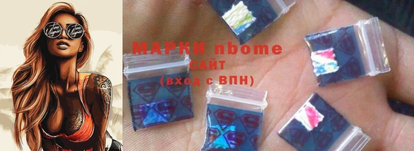 индика Верхний Тагил