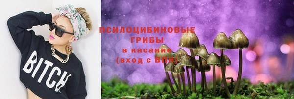 дмт Бронницы