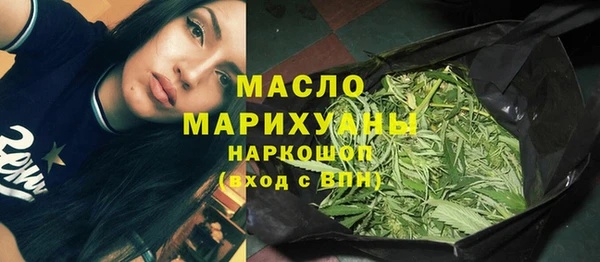 индика Верхний Тагил