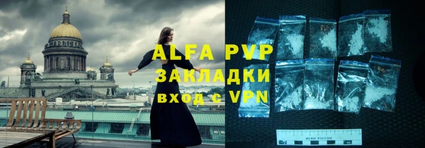 индика Верхний Тагил
