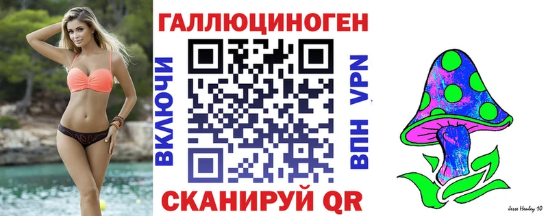 что такое наркотик  Кизляр  Галлюциногенные грибы мицелий 